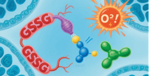 info-370-191 info-370-191