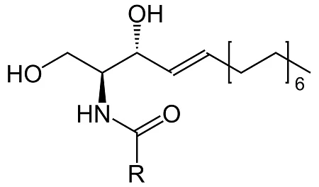 product-450-264 product-450-264